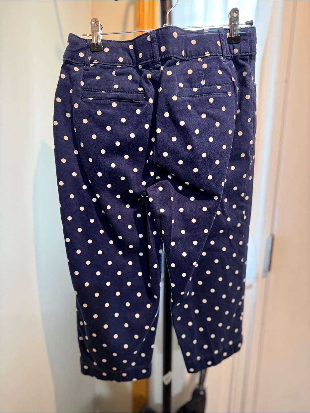 American Eagle Outfitters Navy and White Polka Dot Petite Pants